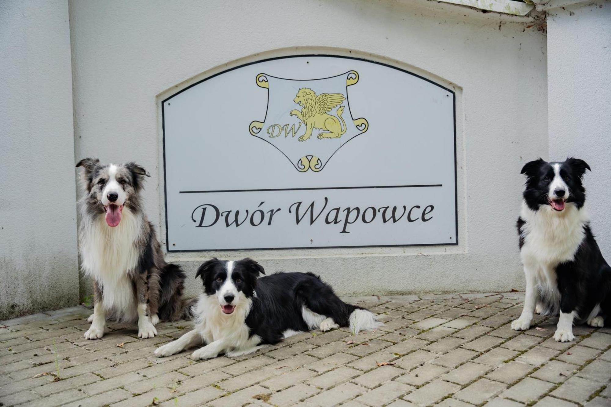 Dwor Wapowce酒店 外观 照片
